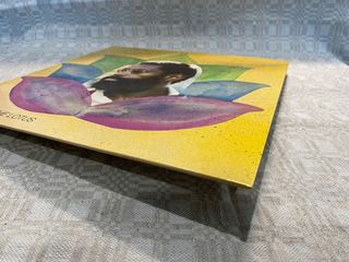 Photo 6